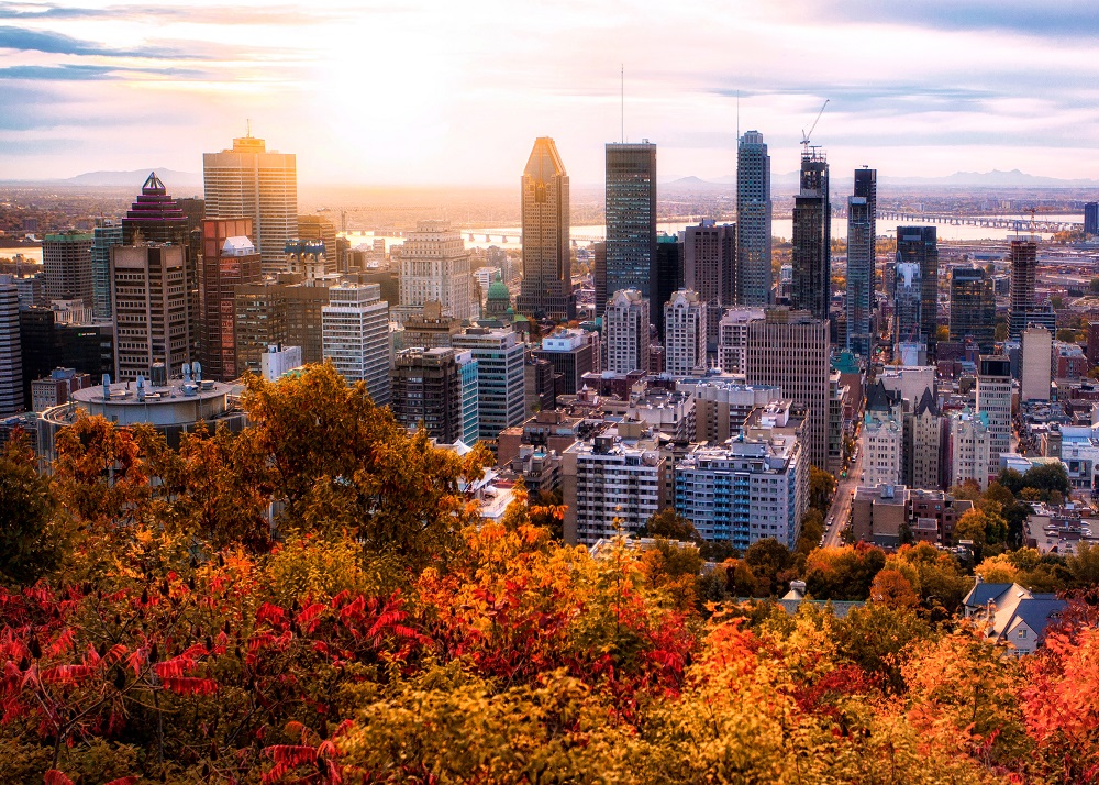 Apoio canadense em época de pandemia